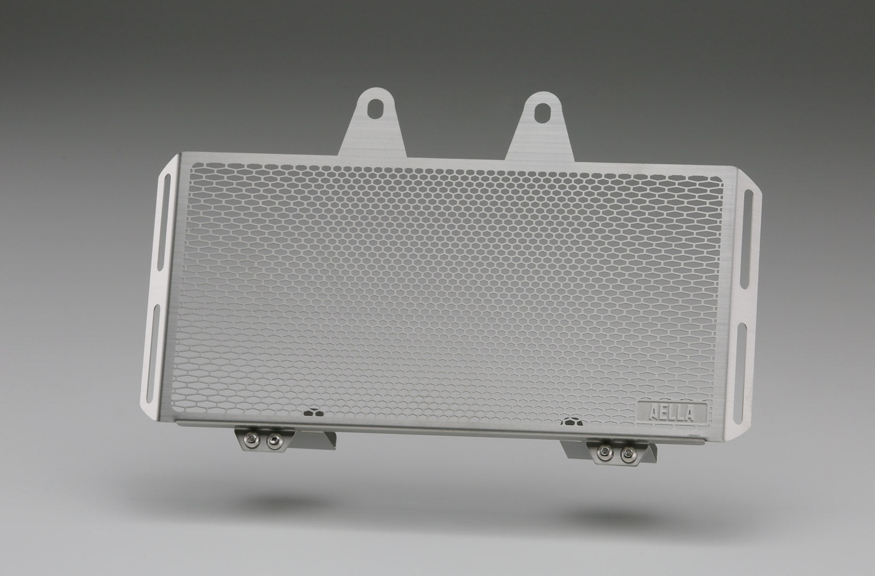 AELLA Oil Cooler Guard for BMW R nineT