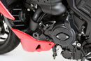 AELLA Engine Sliders for Ducati Diavel V4