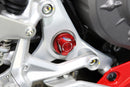 AELLA Swingarm Bolt Cover for Ducati Panigale V2 (MY25+)
