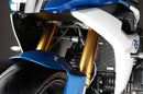 AELLA Radiator Guard for BMW R1200R / RS LC
