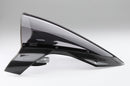AELLA Carbon Screen for BMW S1000RR (19+)