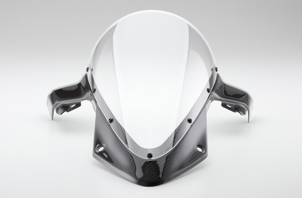 s1000rr AELLAスクリーン AELLA Carbon Screen for BMW S1000RR (19+)