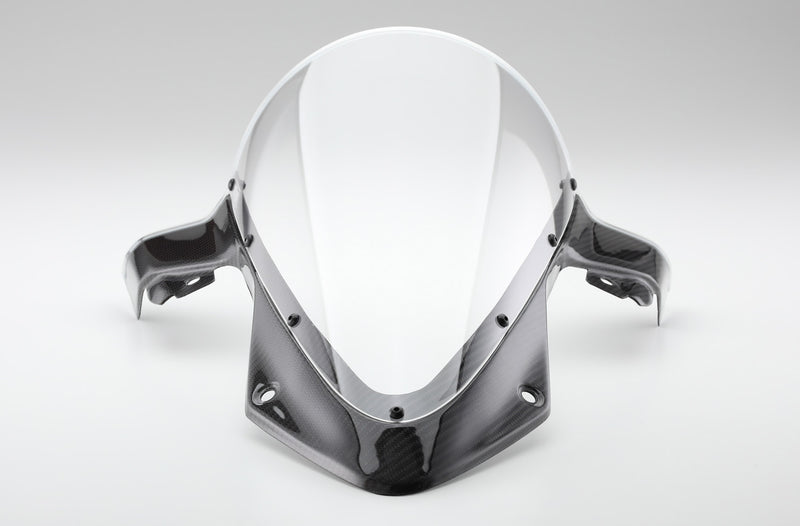 AELLA Carbon Screen for BMW S1000RR (19+)