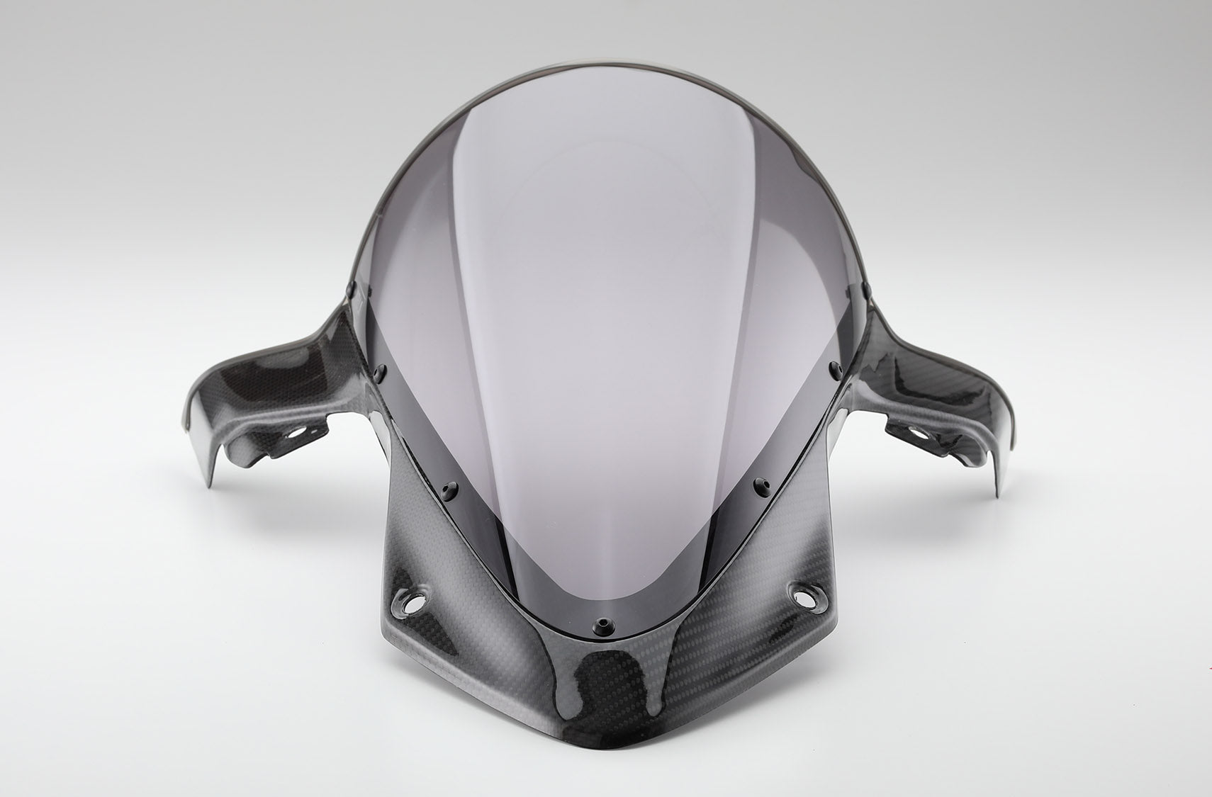 AELLA Carbon Screen for BMW S1000RR (19+)