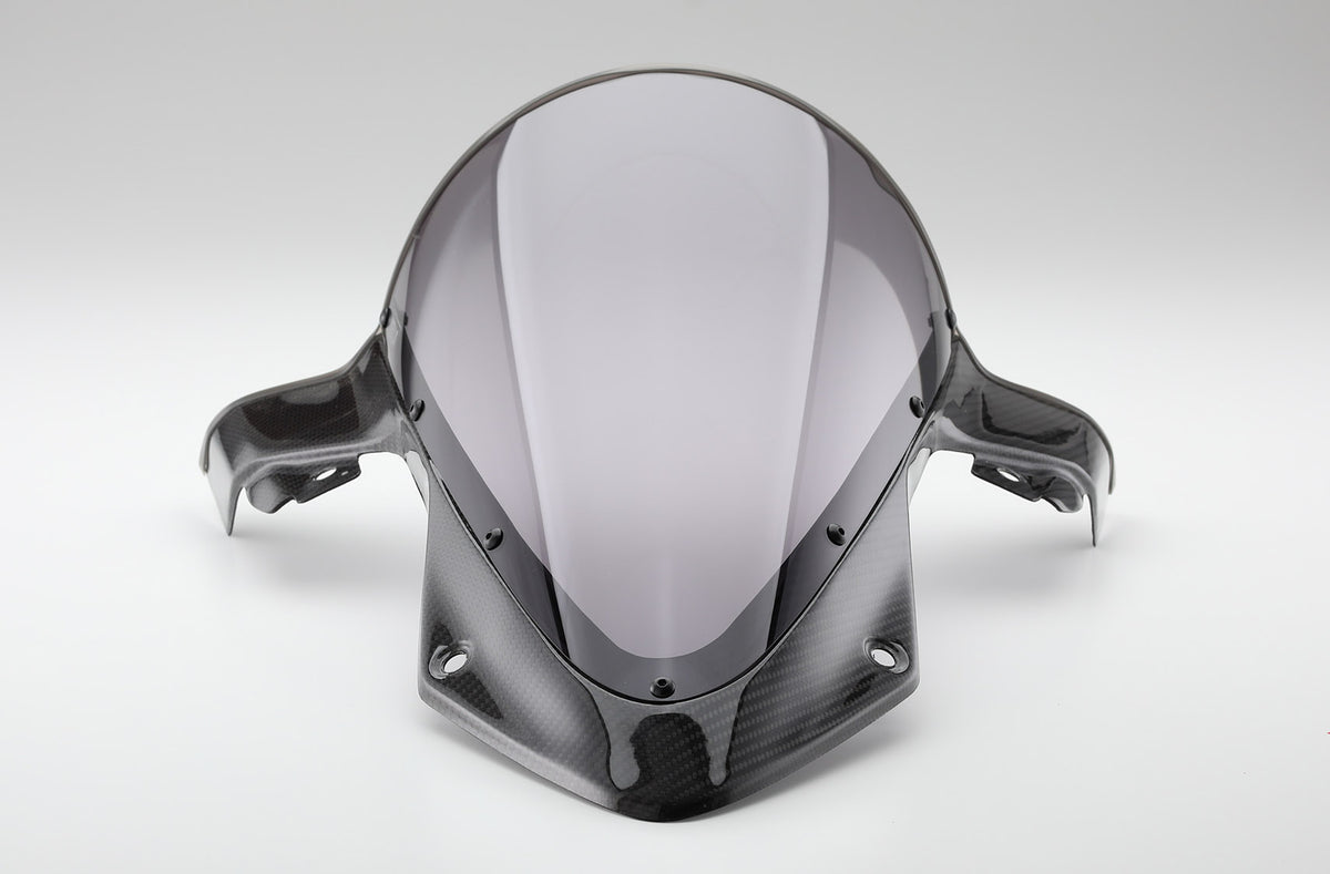 AELLA_BMW_S1000RR_19__CarbonSc