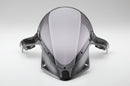 AELLA Carbon Screen for BMW S1000RR (19+)