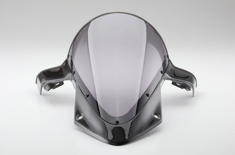 AELLA Carbon Screen for BMW S1000RR (19+)