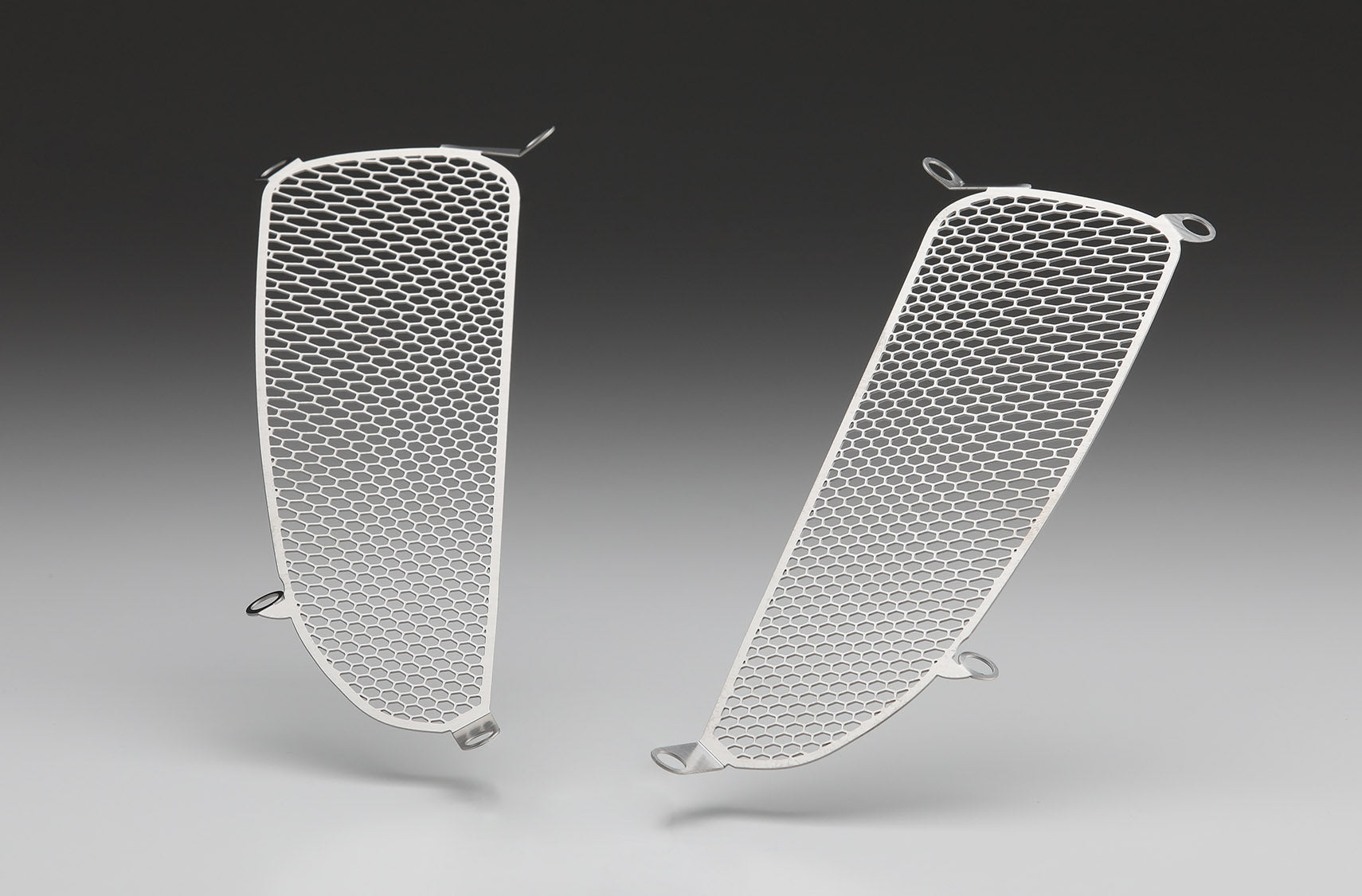 AELLA Air Intake Guards Set for Ducati Diavel 1260